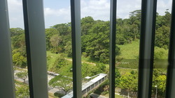 Blk 402 Bukit Batok West Avenue 7 (Bukit Batok), HDB Executive #198876872